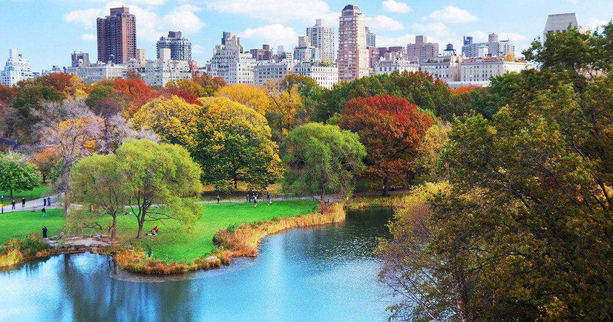 NEW YORK  central park  FULVIA TOUR