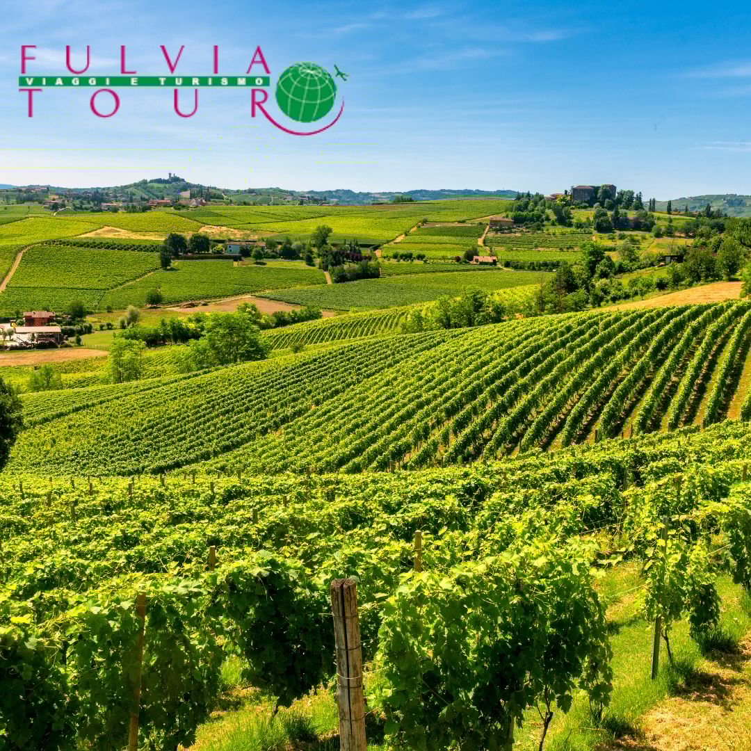 TOUR TORINO E LE LANGHE  GRINZANE CAVOUR