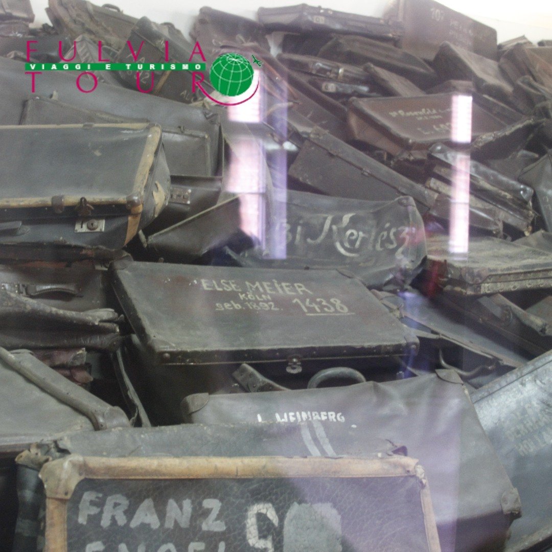 POLONIA  AUSCHWITZ  MUSEO  FULVIA TOUR
