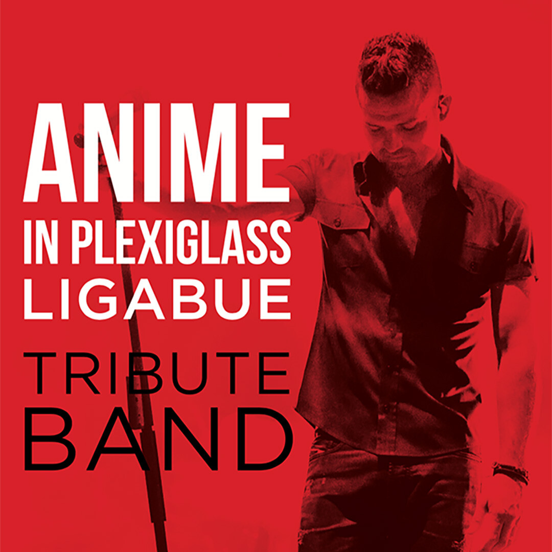 anime in plexiglass