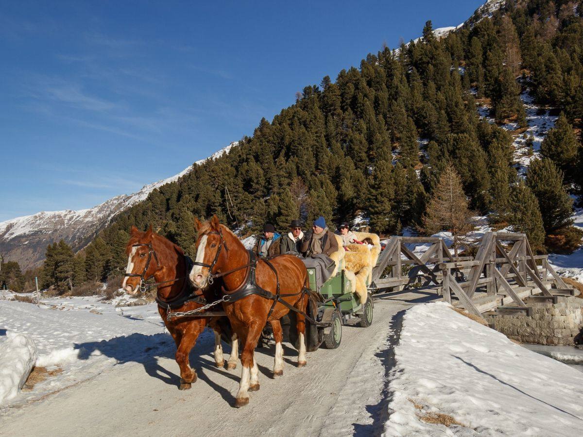 carrozza DA PONTRESINA alla VAL ROSEG - trenino rosso del bernina Fulvia Tour