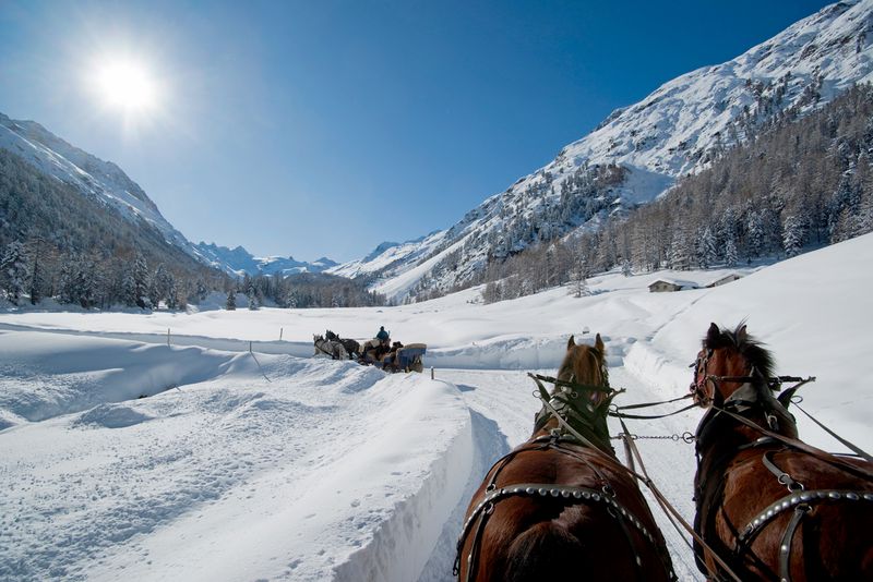 valroseg-carrozze trainate da cavalli - fulvia tour trenino rosso del bernina